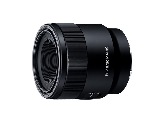 超美品】SONY FE50mm F2.8 Macro SEL50M28 マクロ - レンズ(単焦点)