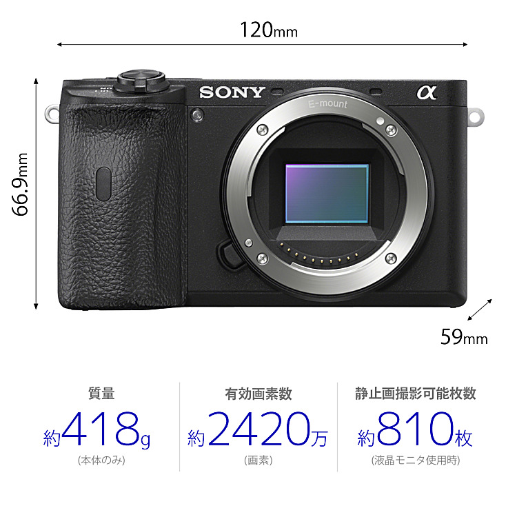 SONY α6600(ILCE-6600) 美品 ショット数1709枚 - カメラ